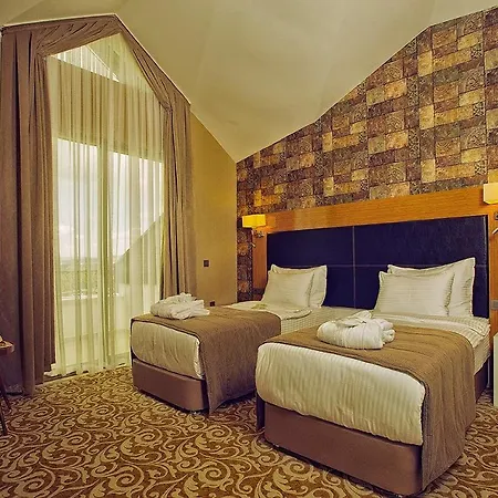 Elgarden & Maşukiye