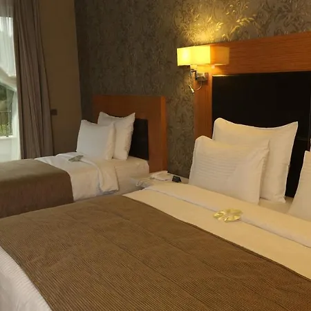 Hotel Elgarden Hotel&spa 4*