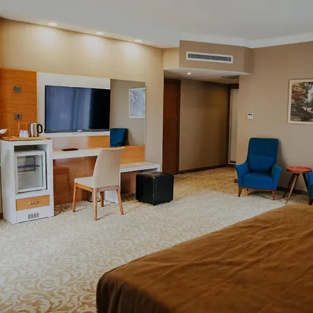 Elgarden & Maşukiye