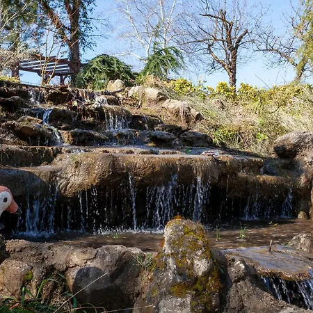 Otel Elgarden & Maşukiye
