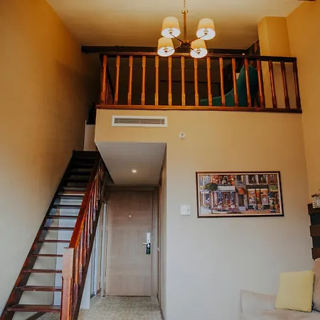 Elgarden & Maşukiye